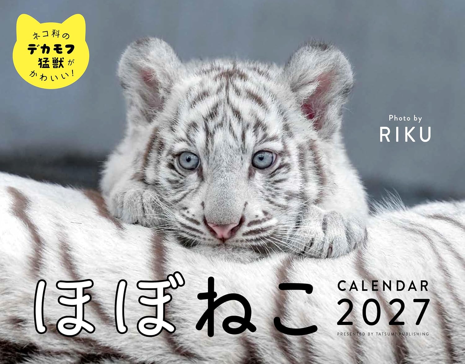 2027 ほぼねこカレンダー