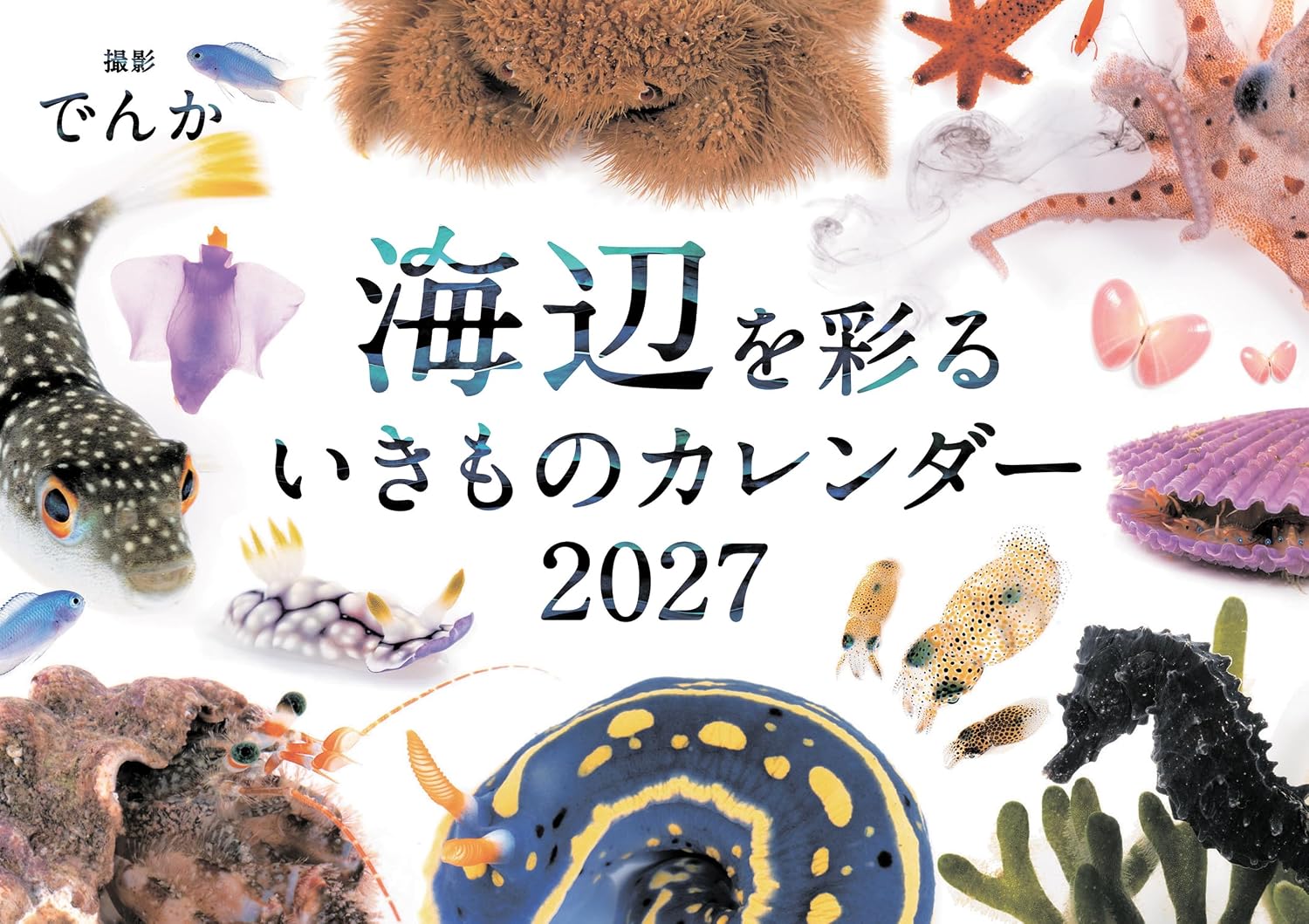 海辺を彩るいきものカレンダー 2027（壁掛け）