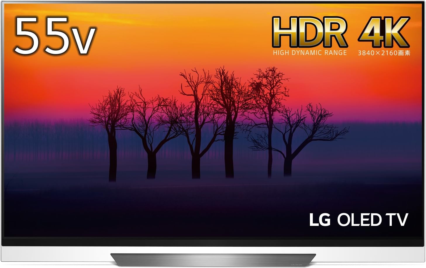 LG OLED55E8PJA