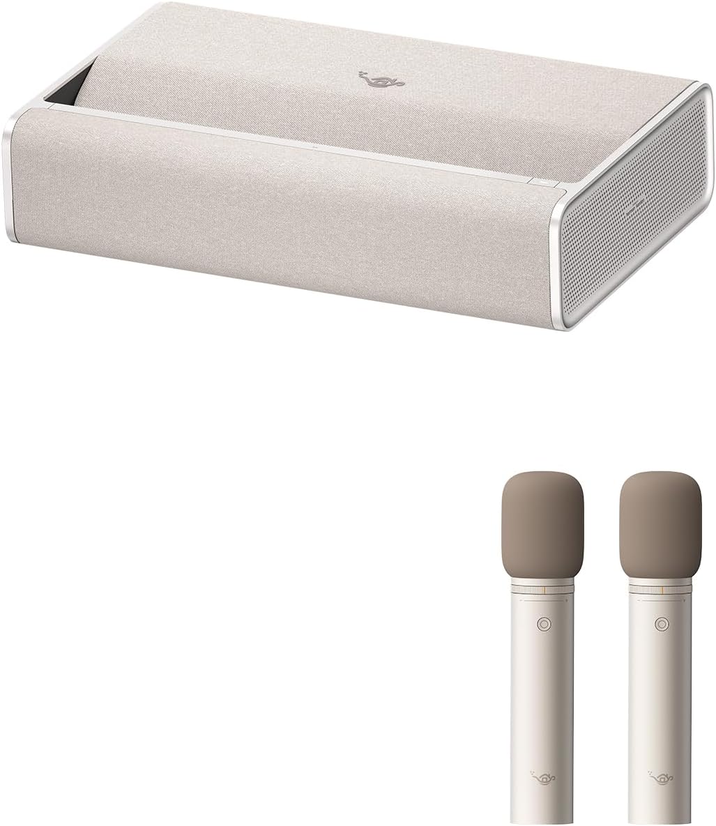 Aladdin Marca Mic2セット