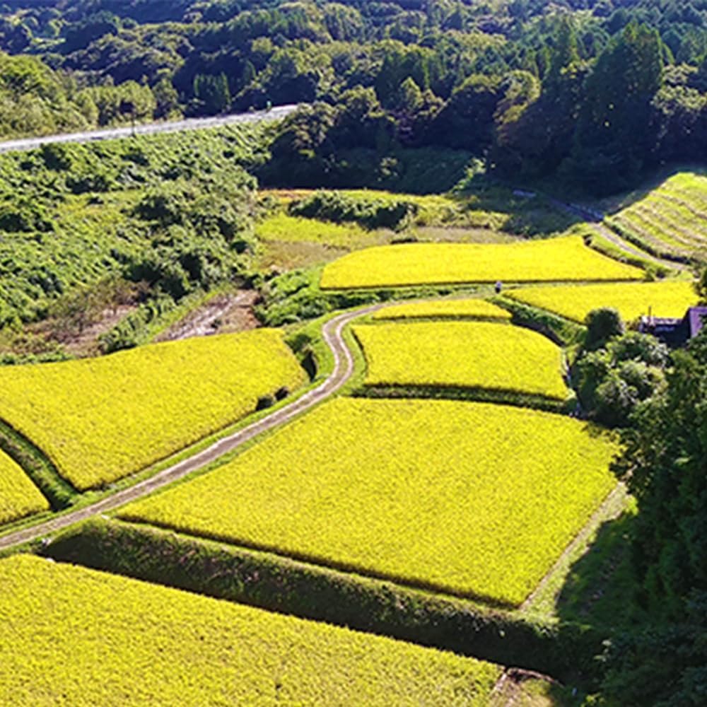 熊本県御船町 災害支援寄附 (返礼品なし)
