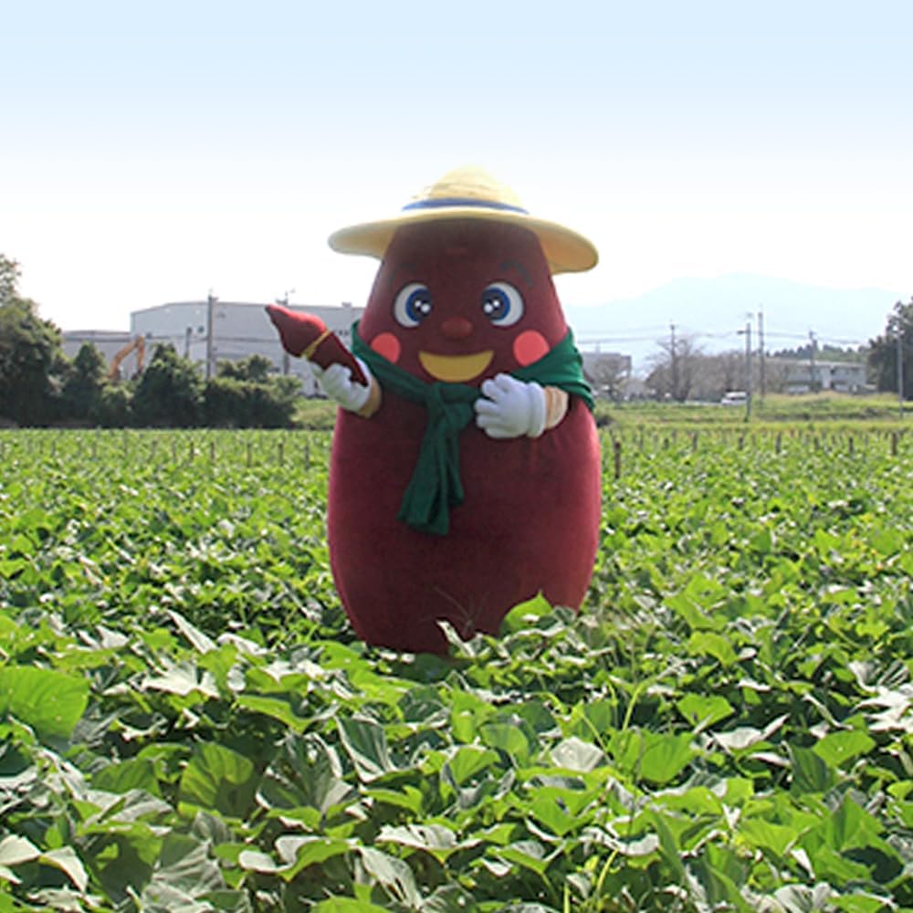 熊本県大津町 災害支援寄附（返礼品なし）