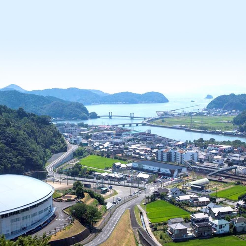 熊本県芦北町 災害支援寄附 (返礼品なし)