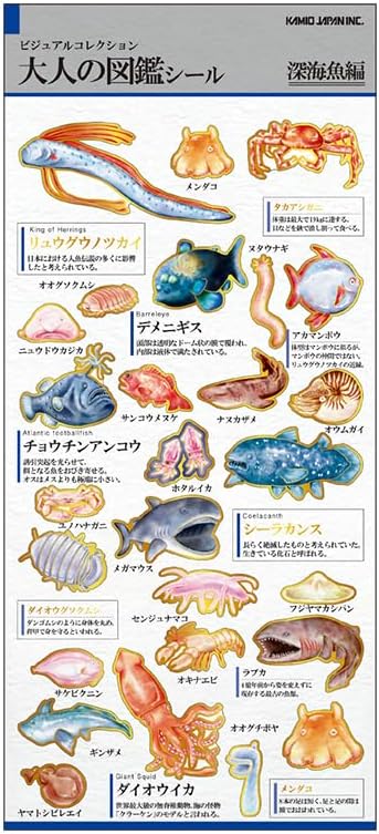 カミオジャパン 大人の図鑑ポストカード 深海魚